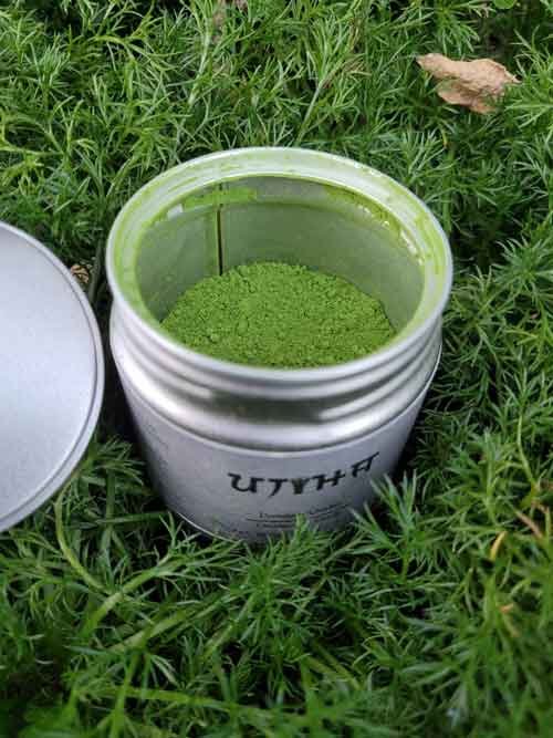 can of ujiha ceremonial grade matcha on ferns full