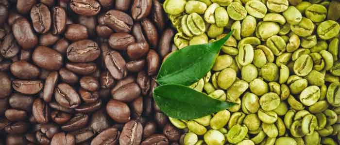 green tea leaves on top of coffee beans