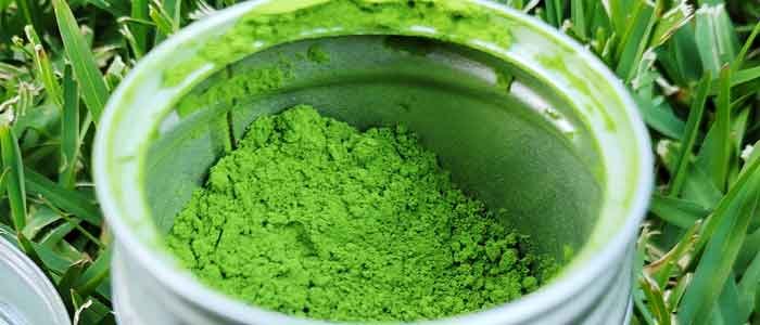 Ujiha ceremonial grade matcha powder inside the tin