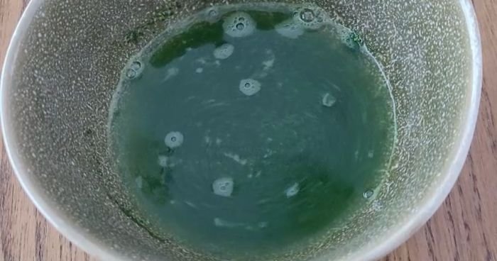 matcha inside a chasen in warm water with swirling antioxidants
